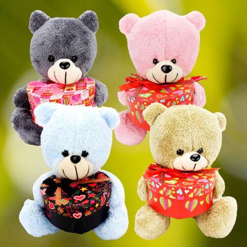 25CM Kalp Kutulu Peluş Ayıcık Asorti - Kare Dekor