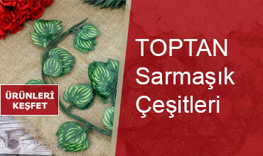 Sarmaşık Çeşitleri
