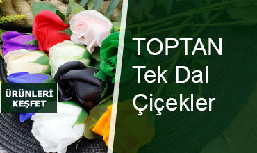 Tek Dal Çiçekler