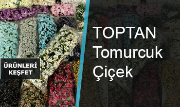 Tomurcuk Çiçek