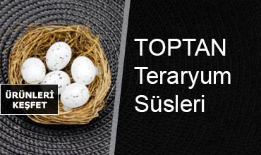 Teraryum Süsleri