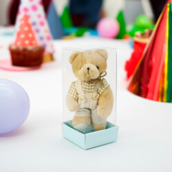 Asetat Kutuda Hediyelik Büyük Boy Kahve Ekose Elbiseli Peluş Ayıcık Anahtarlık Erkek - 1