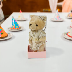 Asetat Kutuda Hediyelik Büyük Boy Kahve Ekose Elbiseli Peluş Ayıcık Anahtarlık Kız - 2