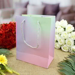 Asorti Simli Pencereli Hediyelik Karton Çanta 12'Li Paket - 5