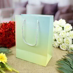 Asorti Simli Pencereli Hediyelik Karton Çanta 12'Li Paket - 7