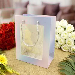 Asorti Simli Pencereli Hediyelik Karton Çanta 12'Li Paket - 8