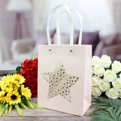 Asorti Simli Yıldız Desen Pencereli Çanta 12'Li Paket - 8