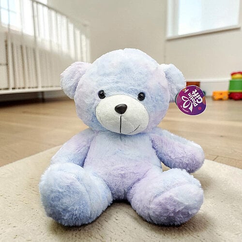 Batik Desenli Sevimli Peluş Ayı Mavi Lila 27 cm - Toptanalim
