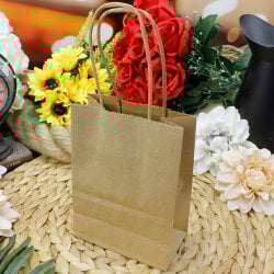 Büküm Saplı Kraft Kağıt Çanta 12'li Paket - 1