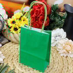 Büküm Saplı Yeşil Kağıt Çanta 12'li Paket - 1