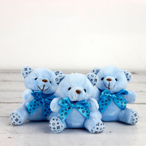 Büyük Boy Desenli Peluş Ayıcık Anahtarlık Mavi 12'li Paket - 1