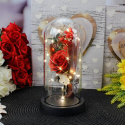 Dekoratif Güllü Led Işıklı Fanus Kırmızı - 3