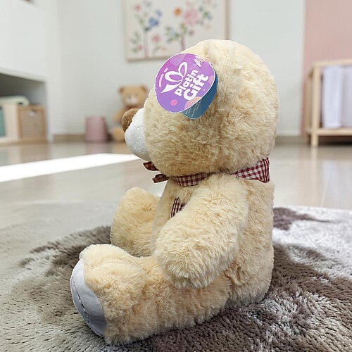 Ekose Fularlı Peluş Ayı Bej 30 cm - Toptanalim (1)