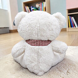 Ekose Fularlı Peluş Ayı Beyaz 28 cm - 3