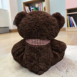  Ekose Fularlı Peluş Ayı Kahverengi 28 cm - 3