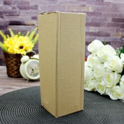 Kadın Dişçi Biblo 20CM - 5