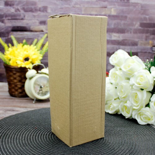 Kadın Dişçi Biblo 20CM - 5