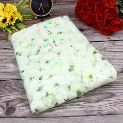 Kafa Kasımpatı Krem 4,5CM 250'li Paket - 3