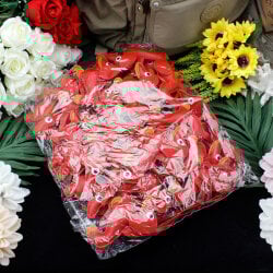 Köpek Figürlü Çanta Charm Aksesuar Kırmızı - 3