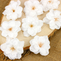 Şebboy Çiçeği 100'Lü Paket Beyaz - 1