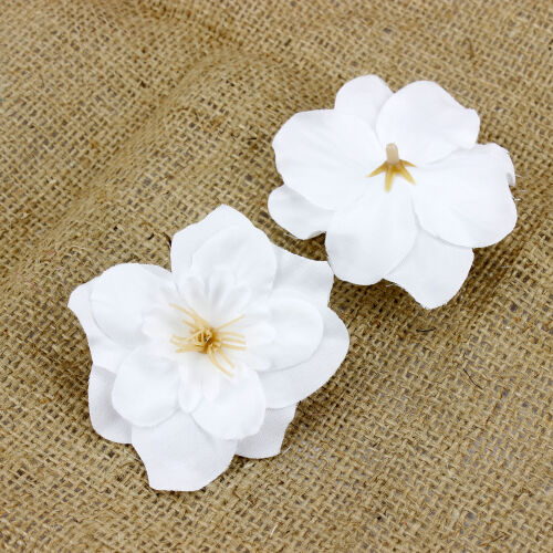 Şebboy Çiçeği 100'Lü Paket Beyaz - 2
