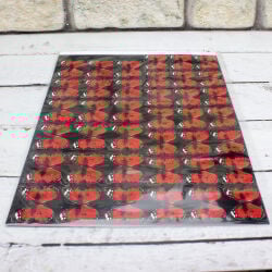 Selefonlu Kelebek Kırmızı Renk 156'lı Paket - 3