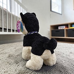 Sevimli Husky Peluş Köpek Siyah Ekru 22 cm - 3