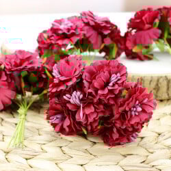 Tomurcuklu Kasımpatı Bordo 48'li Paket - 1