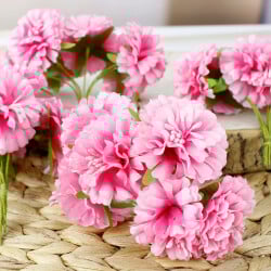 Tomurcuklu Kasımpatı Pembe 48'li Paket - 1
