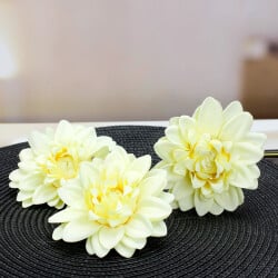 Yıldız Çiçeği 10'lu Paket Sarı - 1